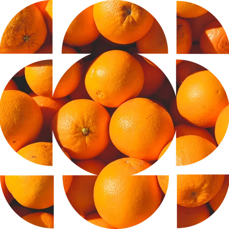 Customized Social Media Marketing Training – FB and IG